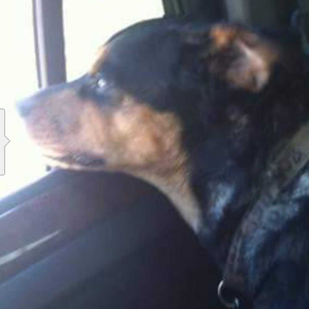 Meet your Posher, Kristen